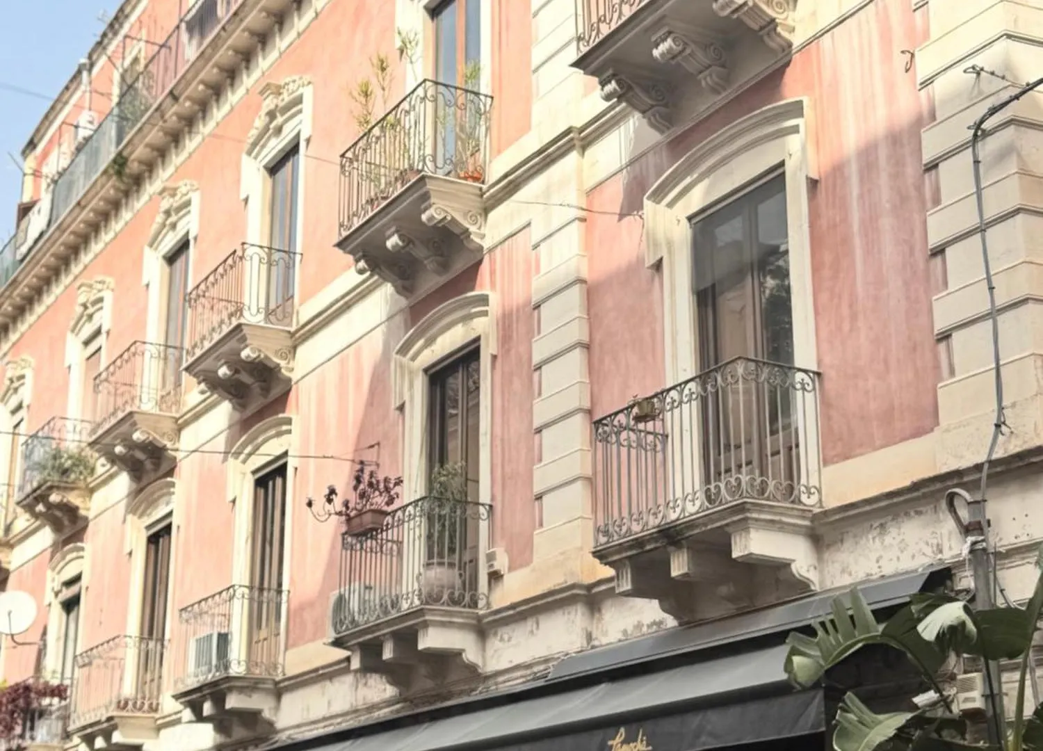Sofia Katane Gemmellaro Italia
